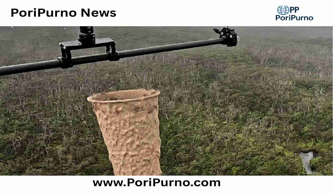 Hawaii Mosquito Drones