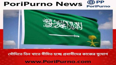 expat work restriction saudi