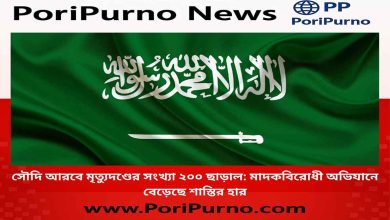 saudi capital punishment