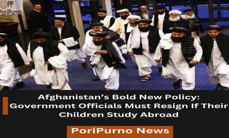 afghanistan employment policy shockwave