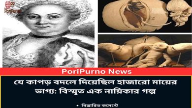 cloth changed mothers lives