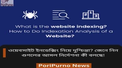 fix google indexing issues