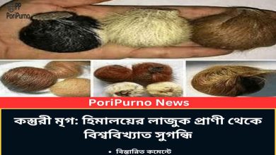 himalayan deer kasturi perfume