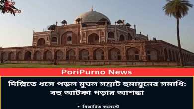 humayuns tomb collapses delhi