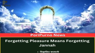 pleasure forget paradise