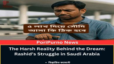 rashed saudi dream visa reality